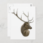 Elk Buck Briefkaart (Voorkant / Achterkant)