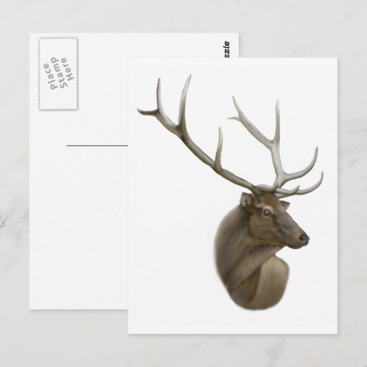Elk Buck Briefkaart (Voorkant / Achterkant)