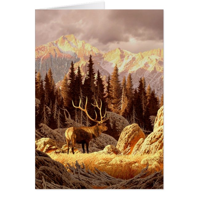 Elk Bull (Voorkant)