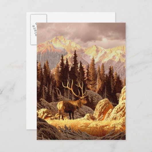 Elk Bull Briefkaart (Voorkant / Achterkant)