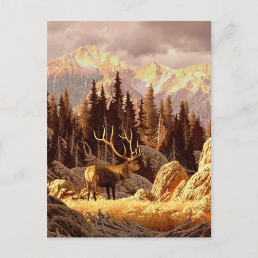 Elk Bull Briefkaart (Voorkant)