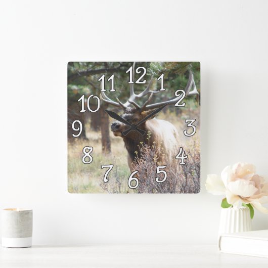 Elk Bull Buck Deer Mancave Wall Clock Vierkante Klok (Huis)