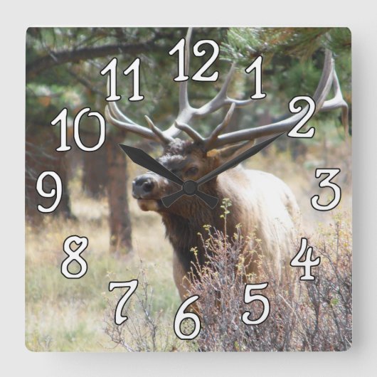 Elk Bull Buck Deer Mancave Wall Clock Vierkante Klok (Voorkant)