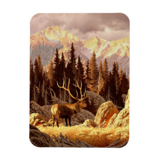 Elk Bull Magneet