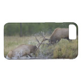 Elk Bulls vechtend, Yellowstone NP, Wyoming Case-Mate iPhone Case (Achterkant (Horizontaal))