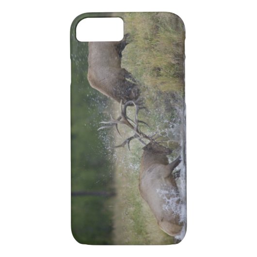Elk Bulls vechtend, Yellowstone NP, Wyoming Case-Mate iPhone Case (Achterkant)