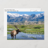 Elk by Creek Great Sand Dunes NP Briefkaart (Voorkant / Achterkant)
