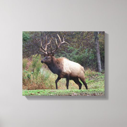 Elk Canvas (Voorkant)