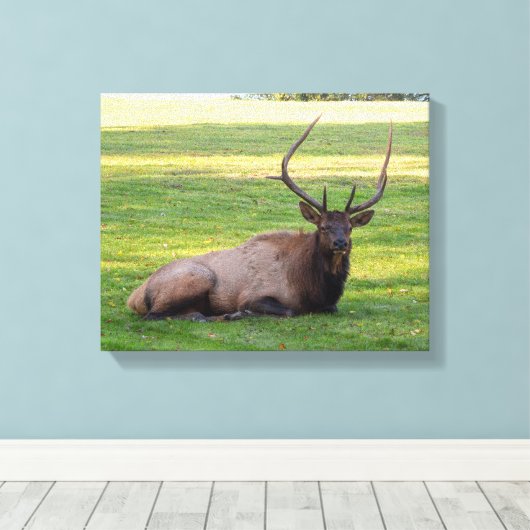 Elk Canvas Afdruk (Insitu (Houten vloer))