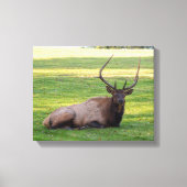 Elk Canvas Afdruk (Voorkant)