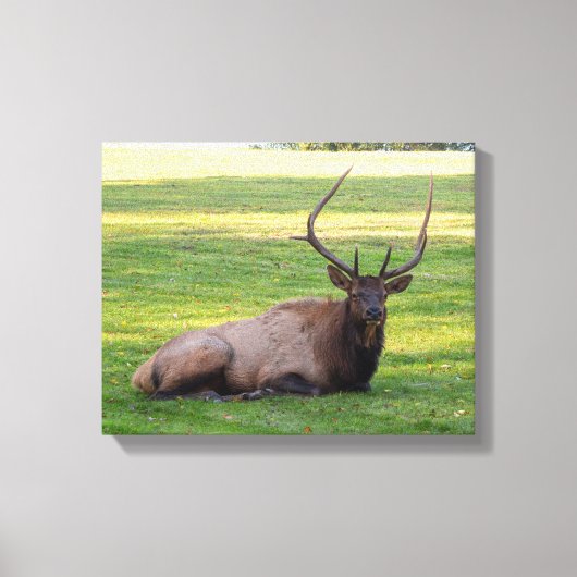 Elk Canvas Afdruk (Voorkant)
