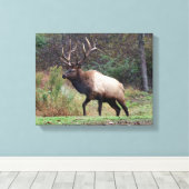 Elk Canvas Afdruk (Insitu (Houten vloer))