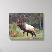 Elk Canvas Afdruk (Voorkant)