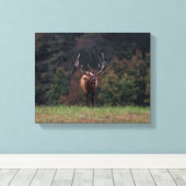 Elk Canvas Afdruk (Insitu (Houten vloer))