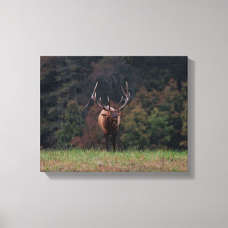 Elk Canvas Afdruk