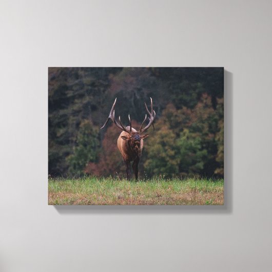 Elk Canvas Afdruk (Voorkant)