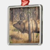 elk, Cervus elaphus, bull bugles in een verbrand Metalen Ornament (Links)