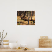 elk, Cervus elaphus, bull bugles in een verbrand Poster (Keuken)