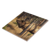 elk, Cervus elaphus, bull bugles in een verbrand Tegeltje (Zijkant)