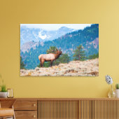 Elk (Cervus Elephus) Bull Bugling Canvas Afdruk (Insitu (Woonkamer))