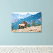 Elk (Cervus Elephus) Bull Bugling Canvas Afdruk (Insitu (Houten vloer))