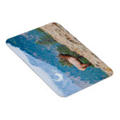 Elk (Cervus Elephus) Bull Bugling Magneet (Rechterzijde)