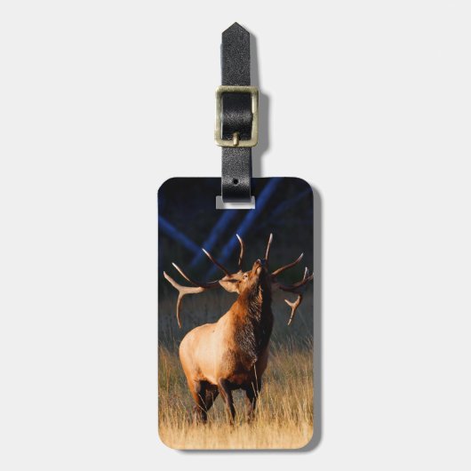 Elk Charging Bagagelabel (Voorkant verticaal)