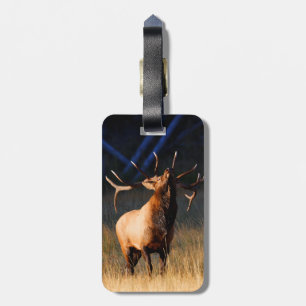 Elk Charging Bagagelabel