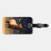 Elk Charging Bagagelabel (Achterkant horizontaal)