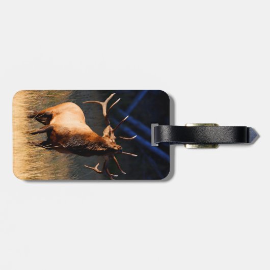 Elk Charging Bagagelabel (Achterkant horizontaal)