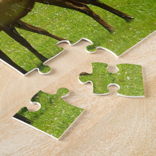 Elk Crossing California Wildlife Fotografie Legpuzzel (Zijkant)