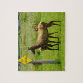 Elk Crossing California Wildlife Fotografie Legpuzzel (Verticaal)