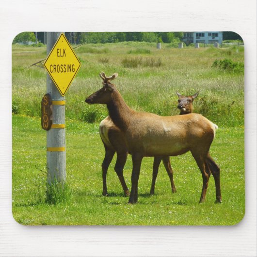 Elk Crossing California Wildlife Fotografie Muismat (Voorkant)