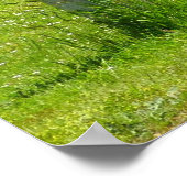 Elk Crossing California Wildlife Fotografie Poster (Hoek)