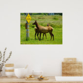 Elk Crossing California Wildlife Fotografie Poster (Keuken)