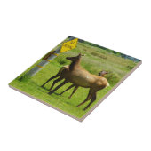 Elk Crossing California Wildlife Fotografie Tegeltje (Zijkant)