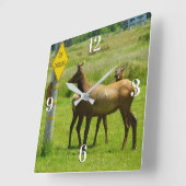 Elk Crossing California Wildlife Fotografie Vierkante Klok (Hoek)