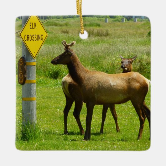 Elk Crossing California Wildlife Keramisch Ornament (Voorkant)
