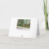 Elk Crossing Street Kaart (Achterkant)