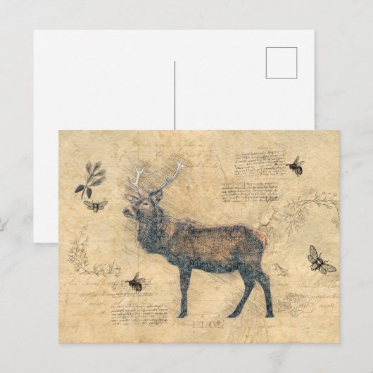 Elk Decoupage  Ephemera Briefkaart (Voorkant / Achterkant)