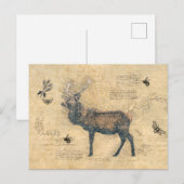 Elk Decoupage Vintage Ephemera blijft hetzelfde in Briefkaart (Voorkant / Achterkant)