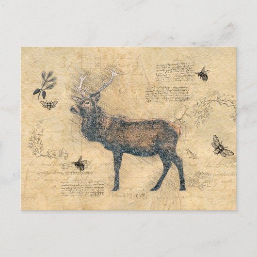 Elk Decoupage Vintage Ephemera blijft hetzelfde in Briefkaart (Voorkant)