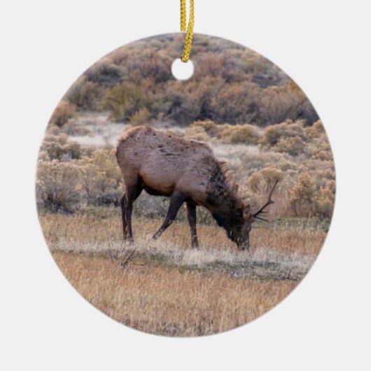Elk Deer Ornament (Voorkant)