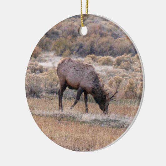 Elk Deer Ornament (Links)