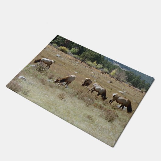 Elk deurmat (Schuin)