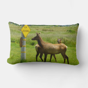 Elk die de weg oversteken Californië Wildlife Foto Kussen