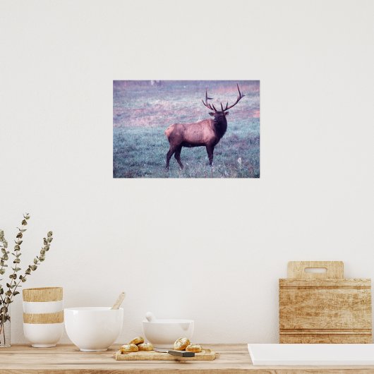 Elk Druk met/of Grenzen Poster (Keuken)