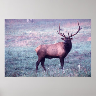 Elk Druk met/of Grenzen Poster