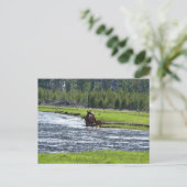 Elk en Baby in de rivier Briefkaart (Staand voorkant)