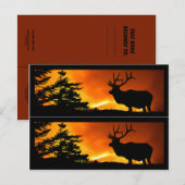 Elk en bosbrandmerken briefkaart (Voorkant / Achterkant)